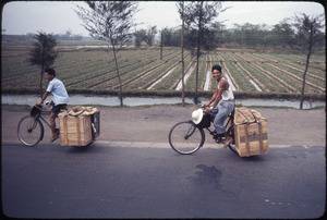 Foshan: bicycles with large boxes, fields in background
