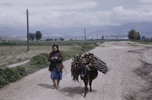 Woman and donkey outside Skopje