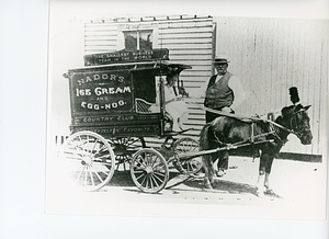 Nador's Ice Cream Wagon and Pony