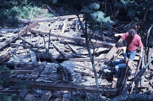 Moon House deconstruction in Moon Lot - Primmer Farm. First floor dismantled to cellar by foreground left to right Peter McChesney (Class of 1975, in red shirt), Lee Greenhouse, and Tom Kalt.