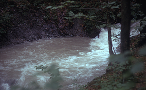 South bank erosion on the South + Middle Branch Birch Brook. Morning after the 2.5" overnight (29-30 June 1973) rainfall event.