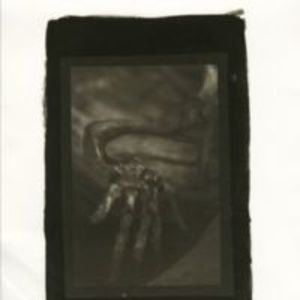 Platinum/ palladium print of snapping turtle skeleton