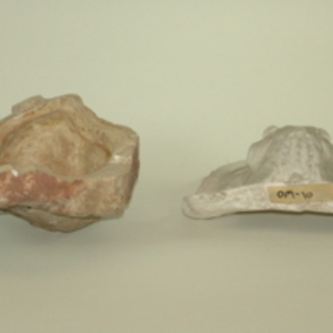 Replica of Dickinson-Belskie pelvis mold, 1945-2007