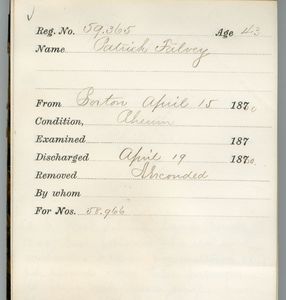 Tewksbury Almshouse Intake Record: Falvey, Patrick - Digital Commonwealth