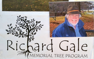 Richard Gale tree project