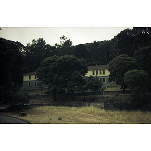 Yellow and gray building situated on a hillside among trees in San Francisco