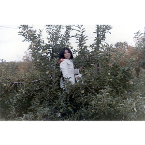 Woman in a tree during a Chinese Progressive Association trip