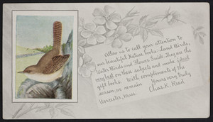 Trade card for Chas. K. Reed, publisher, Worcester, Mass., 1900-1915