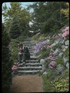 Rock garden, Hartford