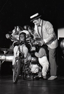 Chimpanzee vaudeville act opening for the Grateful Dead at Sargent Gym, Boston University: performer with pork-pie hat and chimpanzees on bicycles