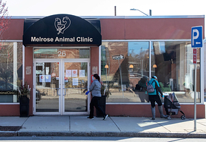 Melrose Animal Clinic: Melrose, Mass.