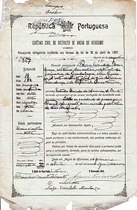 Rosa Mendonça Passport
