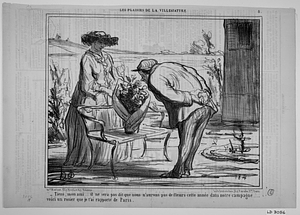 - Tiens, mon ami.... il ne sera pas dit que nous n'aurons pas de fleurs cette année dans notre campagne...... voici un rosier que je t'ai rapporté de Paris.