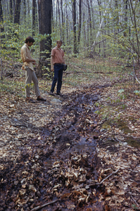 James Cornell '72 and Jack Kruse '72 examine rutted Upper Loop Trail.
