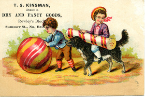 T. S. Kinsman, dealer in dry and fancy goods