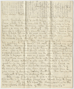 Edward Hitchcock, Jr. letter to Edward Hitchcock, 1860 November 10