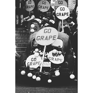 "Go Grape" signs on a car during the Mayor of Huntington Avenue competition