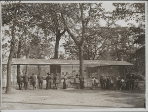 Bear cages, Franklin Park, west side, Boston, Mass., undated