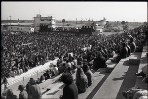 Hollywood Speedway Rock Festival: shot of the crowd from the grandstands