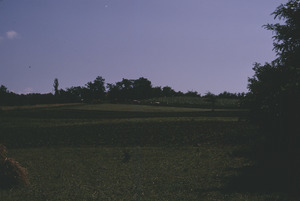 Plowed fields in Orašac
