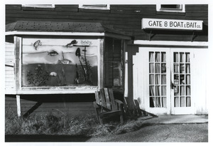 Gate 8 Boat and Bait Co.