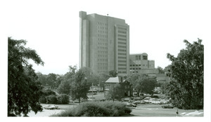 Buildings and Grounds