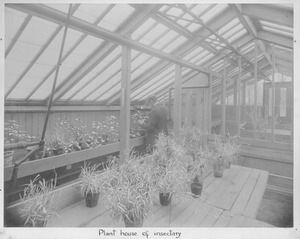 Plant house of Insectary