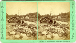 No. 42. View showing ruins of Engine, etc., at Skinnerville