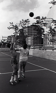 Teenagers playing basketball at Lo Presti Park