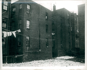 Rear of houses on Genesee Street (front faces 8-10 Oswego Street)