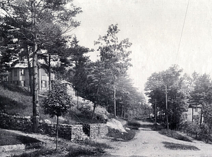 Pine Street, 1910