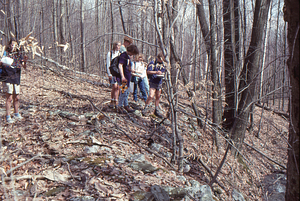 ENVI 102 - Introduction to Environmental Science in Moon Lot - Primmer Farm. 5. Stone wall on northern boundary of Moon Lot near the northwest corner.