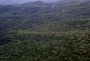 Aerial oblique view from the North Branch of Birch Brook toward Birch Hill on 28 May 1972 in the Hopkins Forest.