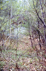 Gravel pit excavated by the U.S. Forest Service in the southeast corner of the Moon Lot.