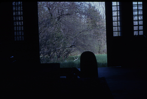 View of 1906 apple orchard from interior of carriage house.
