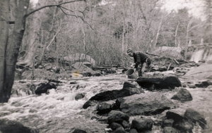 Stocking Atlantic salmon in the North River