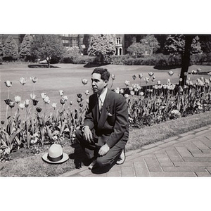 A man kneels beside a row of tulips