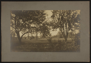View of Briggs Garden in Hanover, Mass., 1899
