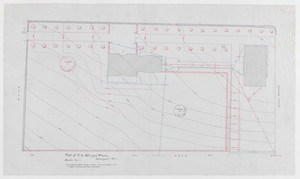 Topographical plot plan by J. P. Cotton, 1 inch scale, residence of F. K. Sturgis, "Faxon Lodge", Newport, R.I.