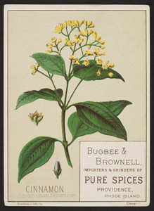 Trade card for Bugbee & Brownell, importers & grinders of pure spices, Providence, Rhode Island, undated
