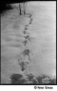 Footprints in the deep snow