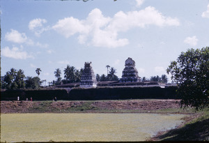 Fields outside a South India temple complex