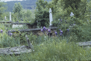 Village graveyard