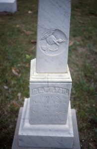 New Prospect Cemetery (Mississippi) gravestone: Wilson, D.L. (d. 1887)