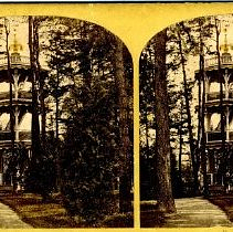 Potter's Grove: Observation Tower