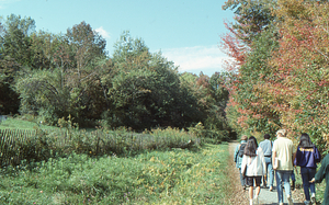Students hiking on Carriage Road Trail to BIOL 203 - Ecology field lab.
