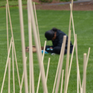 Smith College student studying