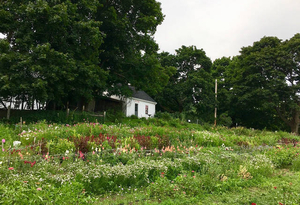 Farming in 2018, Wright-Locke Farm today, farmstand and flower fields