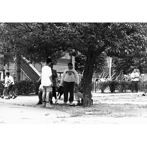 Young men conversing in the shade of a tree.