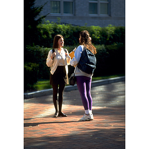 Two students conversing on a walkway on the Northeastern University campus